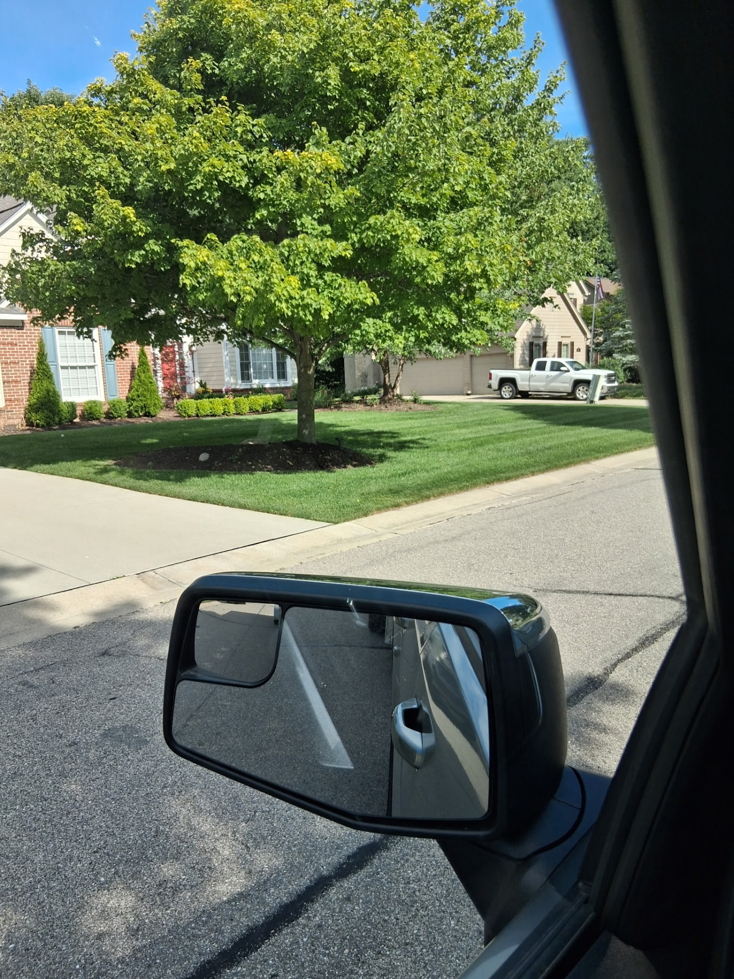 Neatly striped lawn beneath a mature maple tree in Romeo, MI